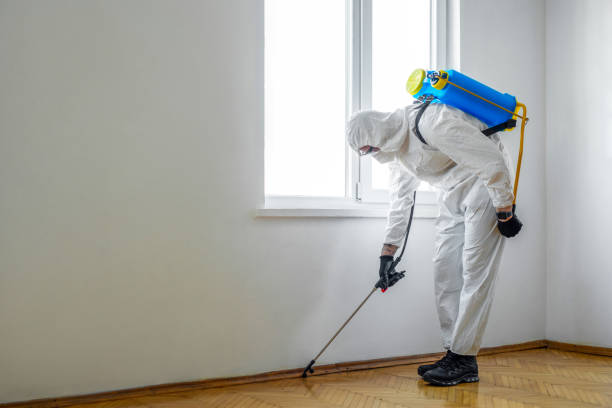 Professional Pest Control in Stillwater, MN