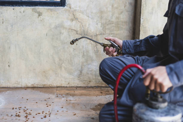 Pest Prevention Services in Stillwater, MN