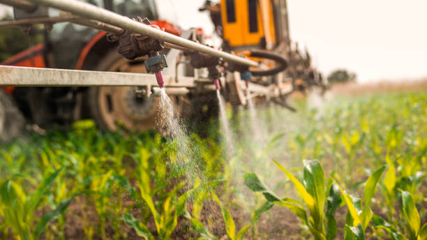 Best Local Pest Control Services  in Stillwater, MN